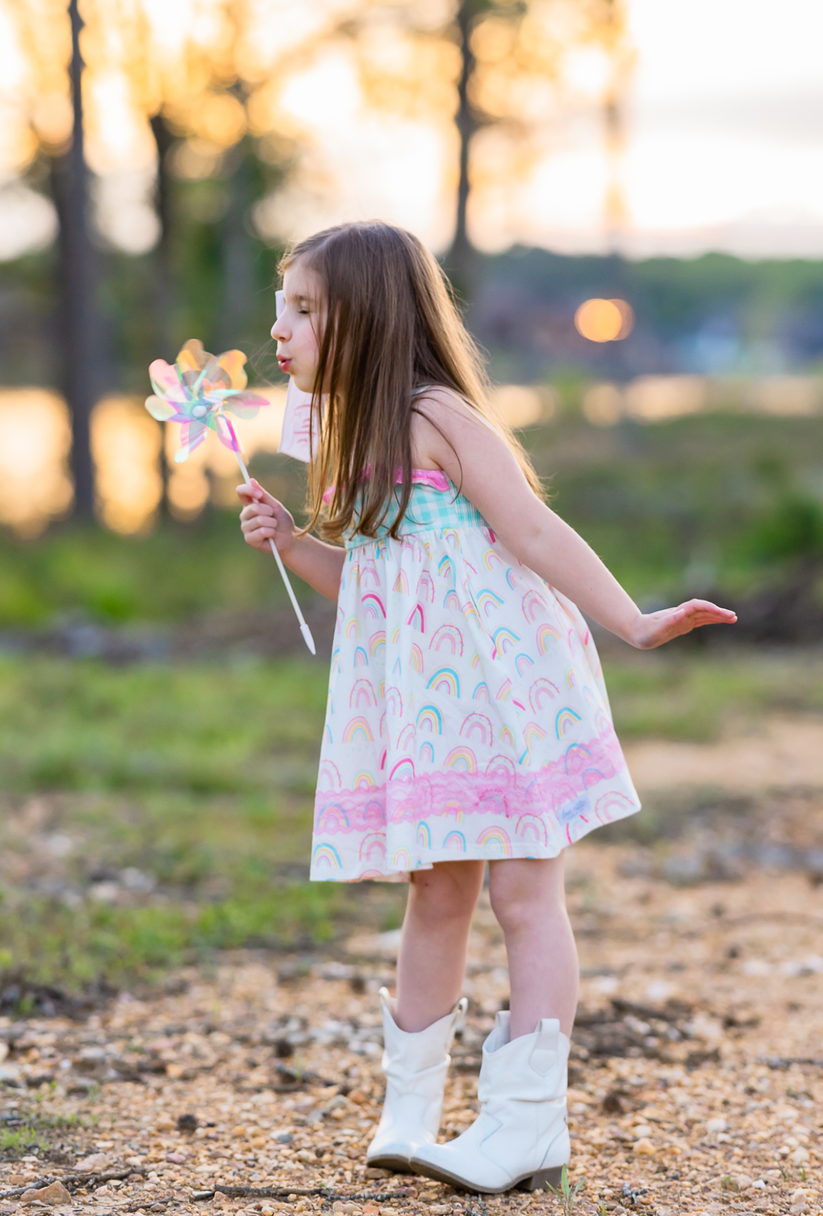 Rainbow Reagan Dress - Love Millie Clothing